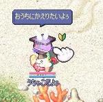 うちゃこ.jpg